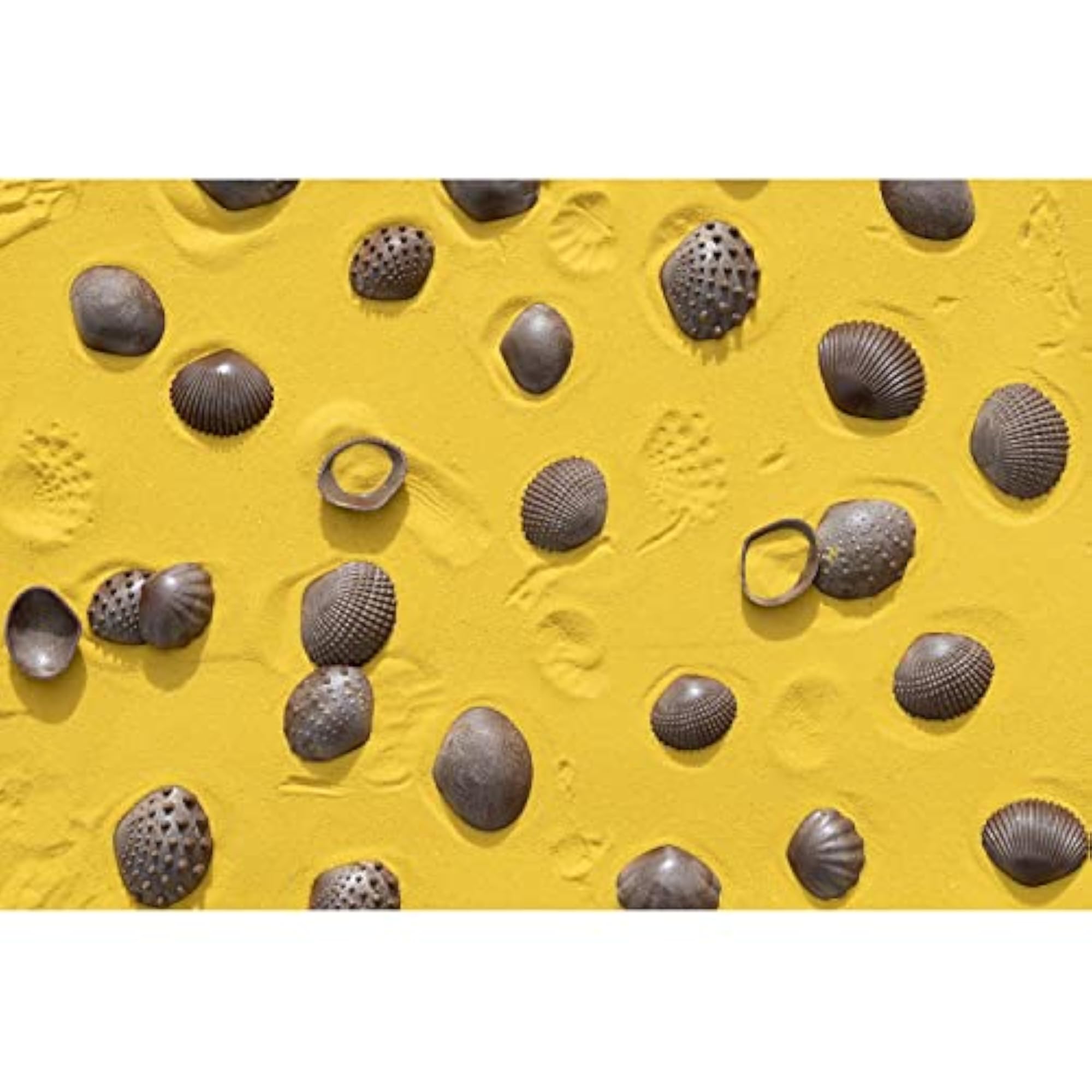 EDX Education ECO Friendly Tactile Sea Shells